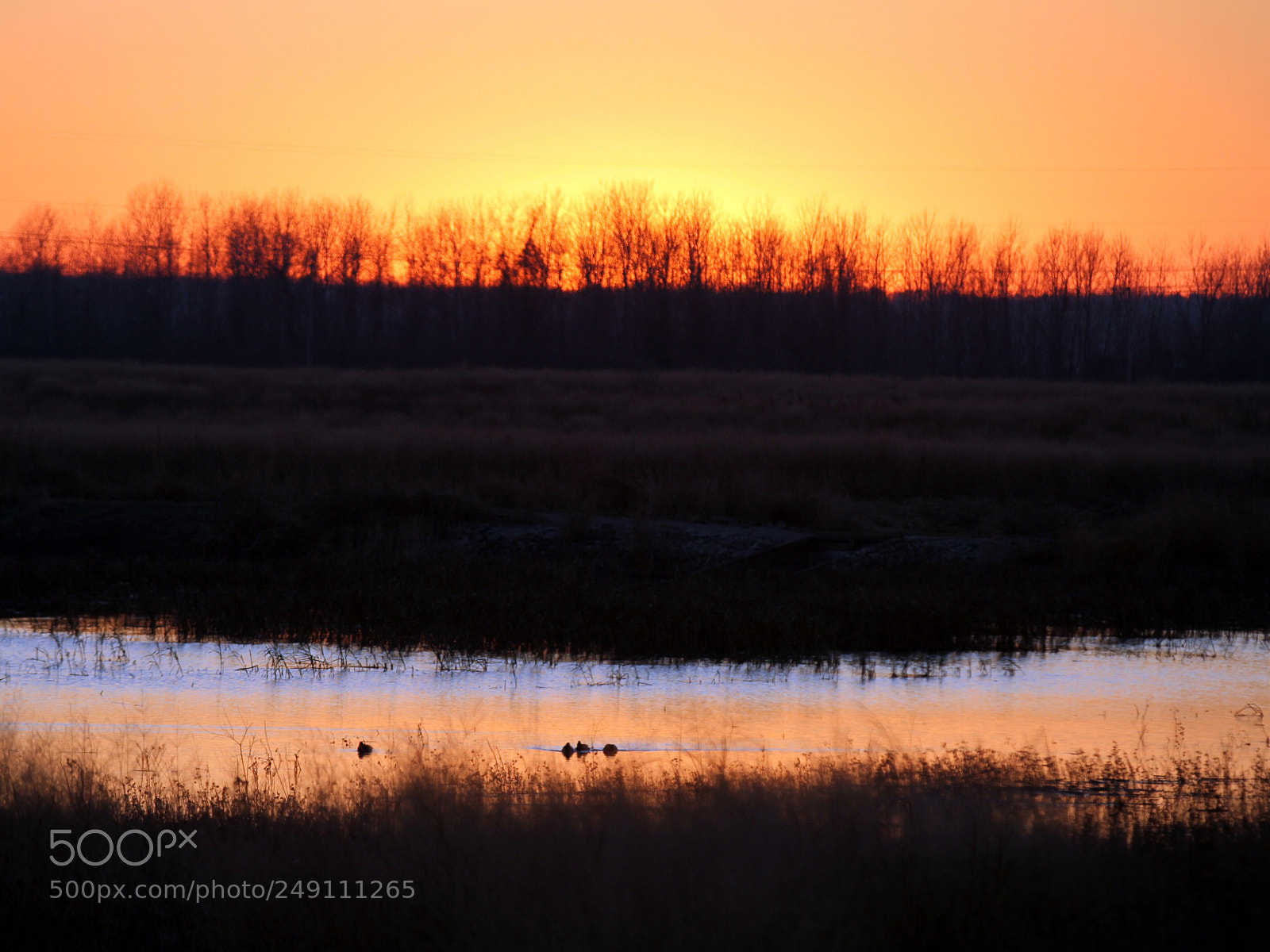 Canon EOS 7D sample photo. Untitled photography