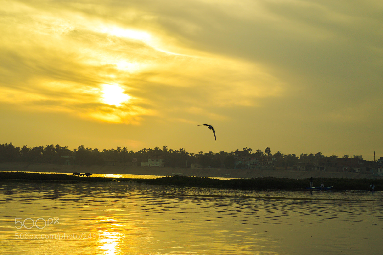 Nikon D3200 sample photo. Nile photography