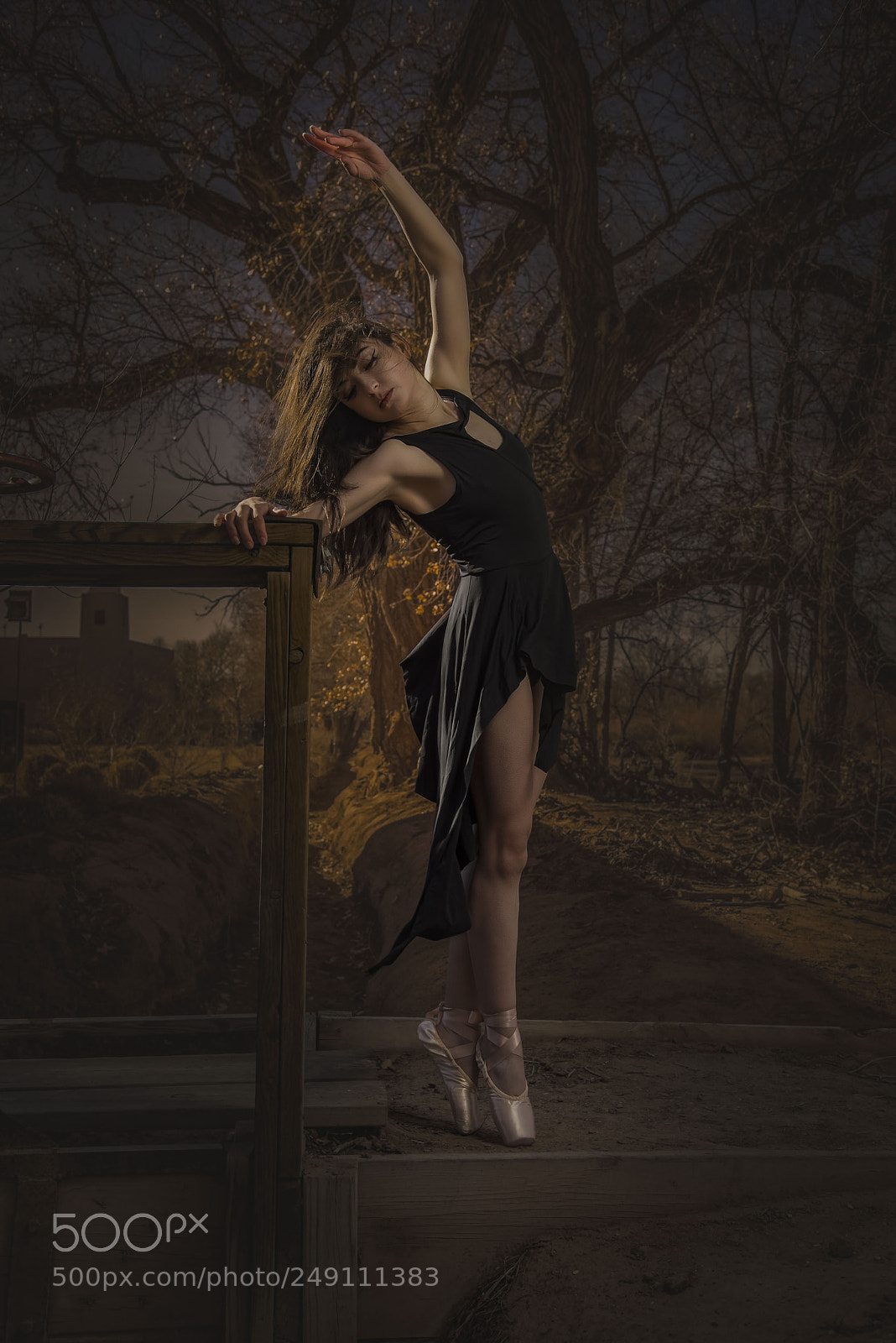 Nikon D810 sample photo. The dancer in nature photography
