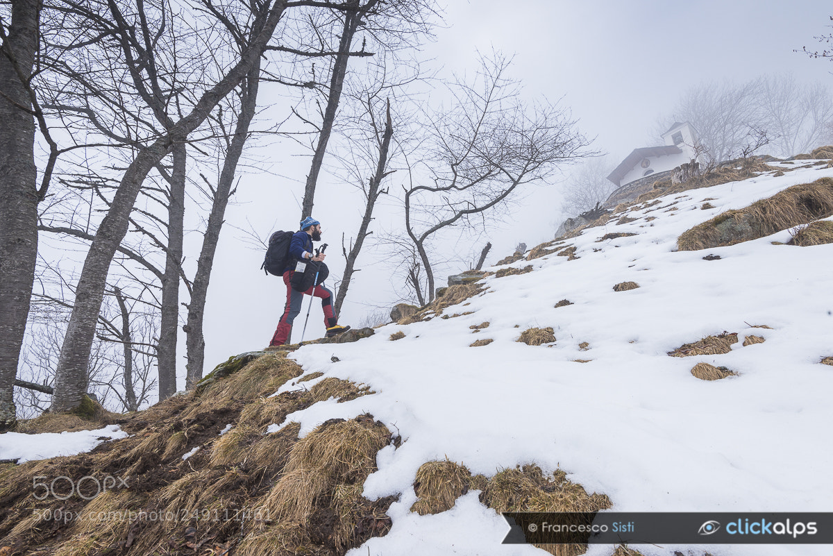Nikon D810 sample photo. Appearances... (valle soana) photography