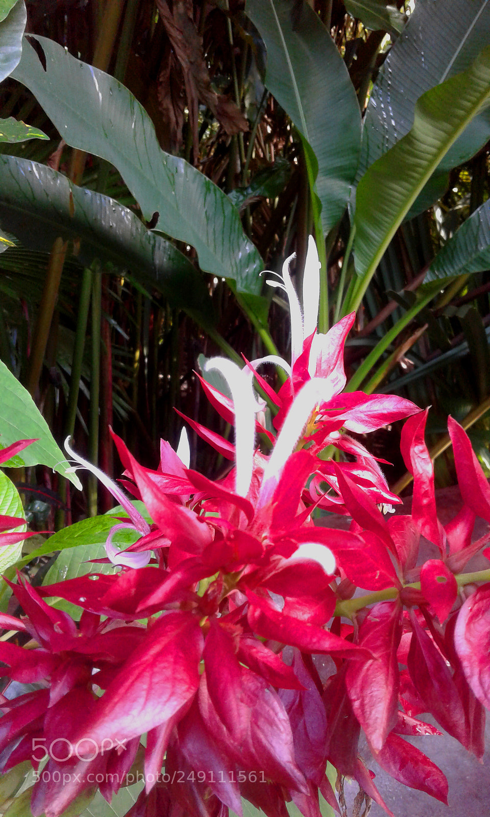 Samsung Galaxy J1 sample photo. 20161021_070751.jpg photography