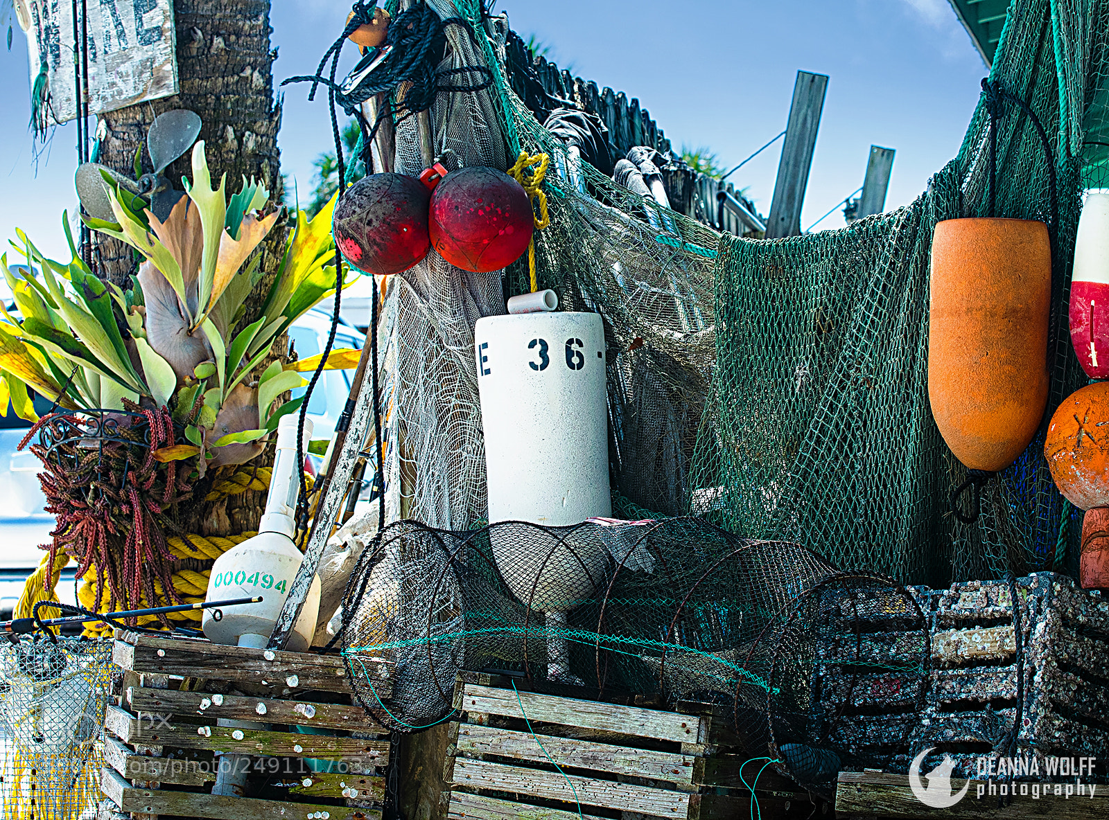 Nikon D5300 sample photo. Front of fish store photography