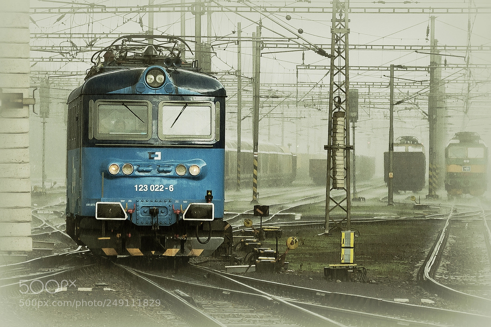 Nikon D90 sample photo. ...in the rain... photography