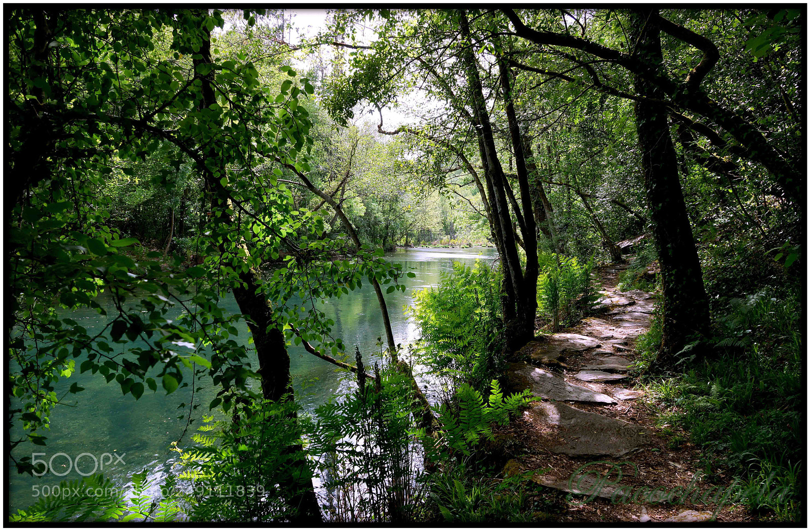 Sony SLT-A77 sample photo. Un sendero por el photography