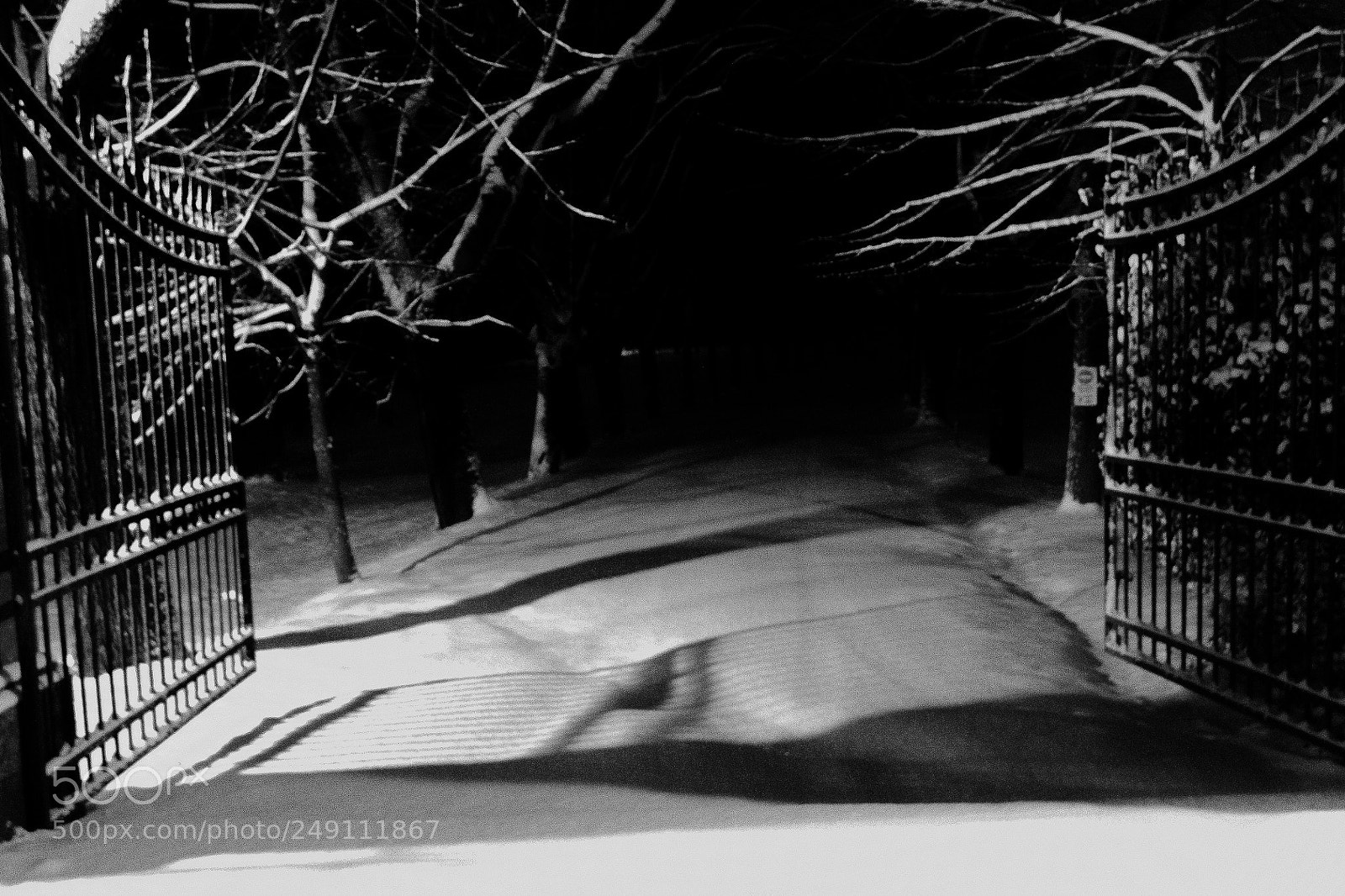 Canon EOS 1100D (EOS Rebel T3 / EOS Kiss X50) sample photo. Darksnow photography
