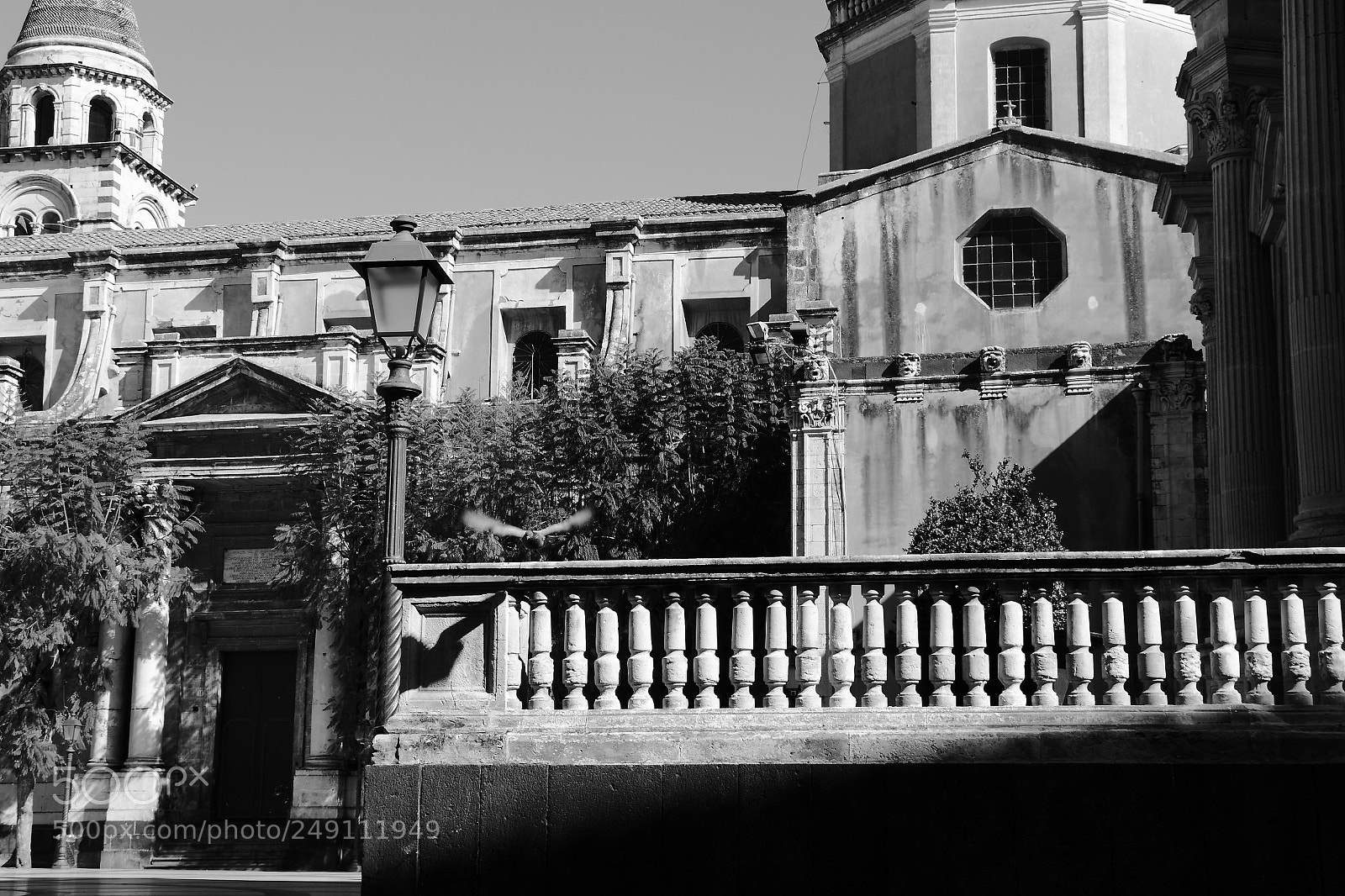 Canon EOS 80D sample photo. Bianco e nero photography