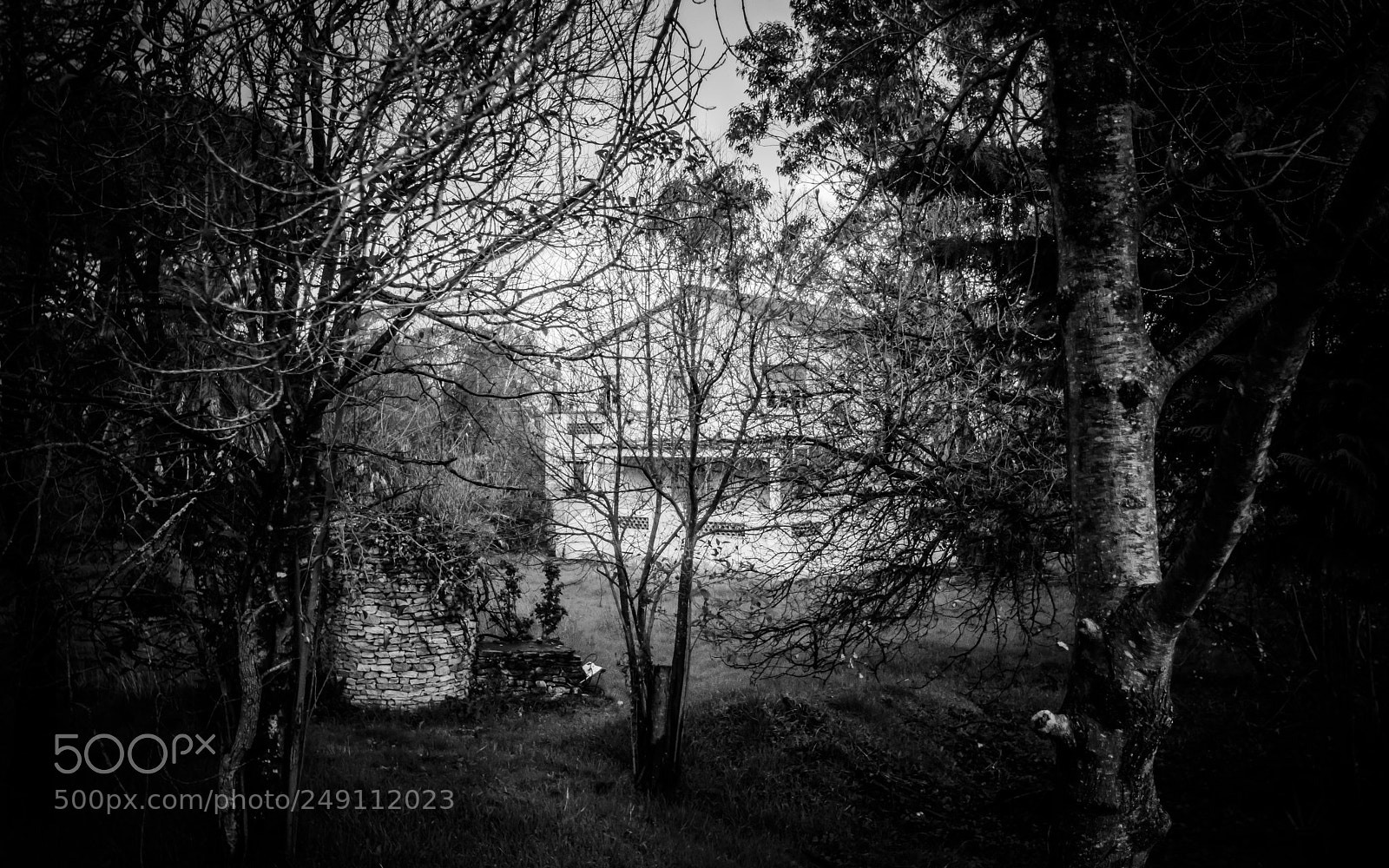 Nikon D7100 sample photo. The forgotten house photography