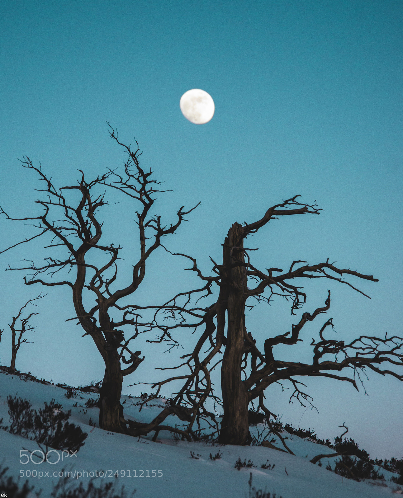 Pentax K-5 sample photo. Crooked moon photography