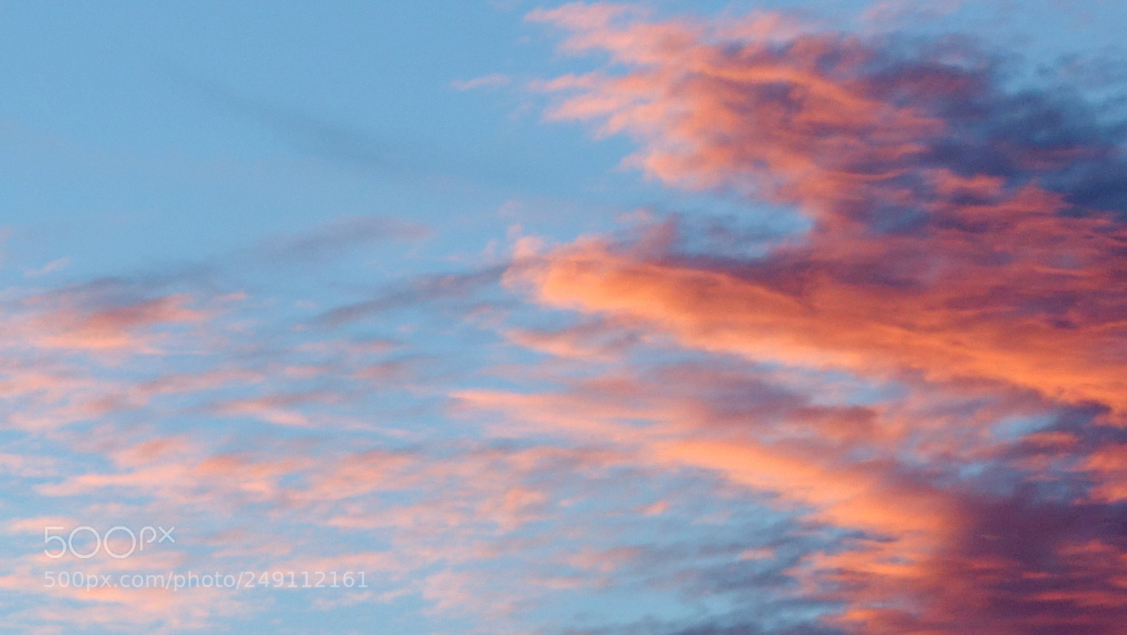 Sony Cyber-shot DSC-RX100 II sample photo. Grasping at skies photography