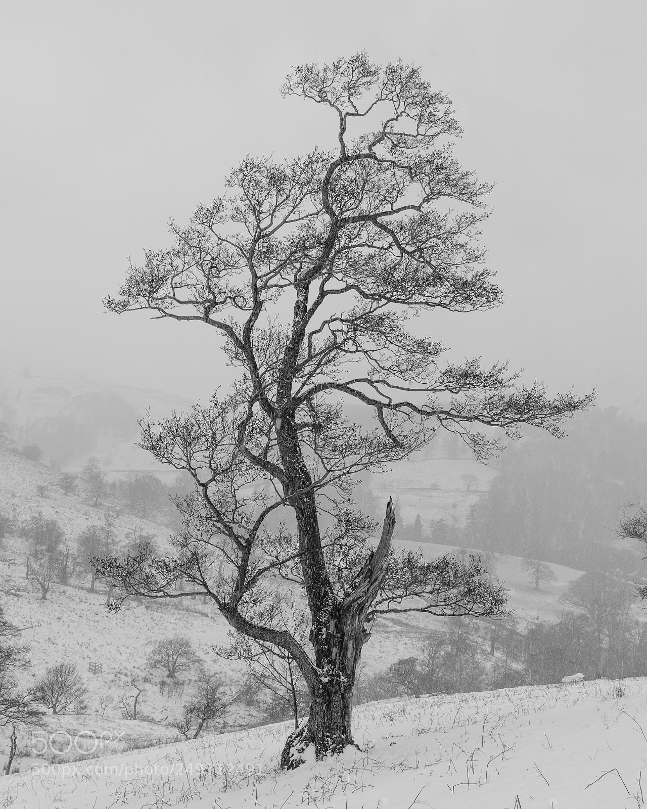 Nikon D610 sample photo. Untitled photography