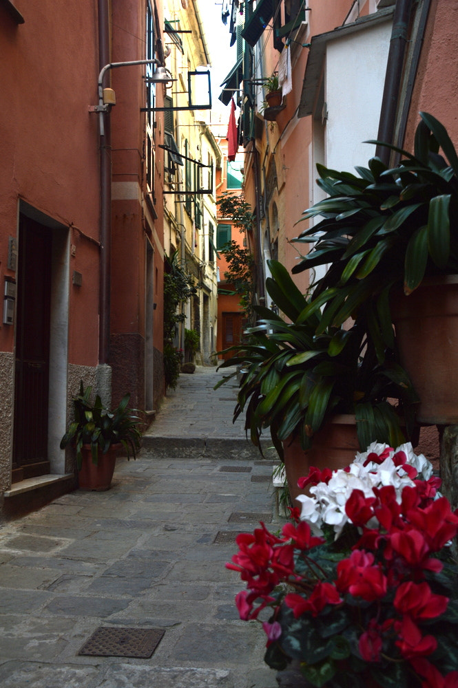 Nikon D3200 sample photo. Vernazza corners photography
