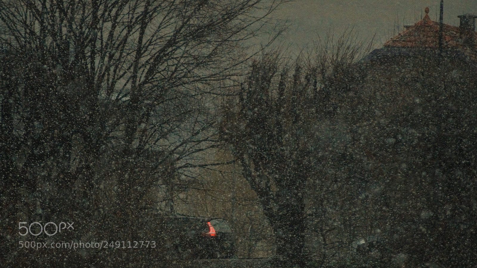 Nikon D3200 sample photo. Untitled photography