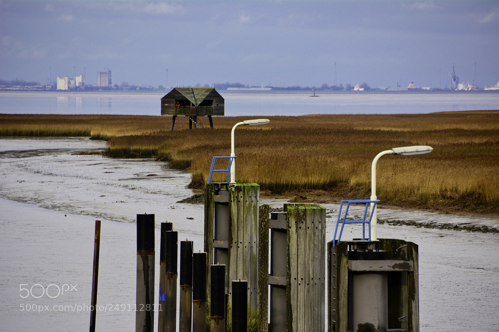Nikon D5200 sample photo. The kiekkaaste is a photography
