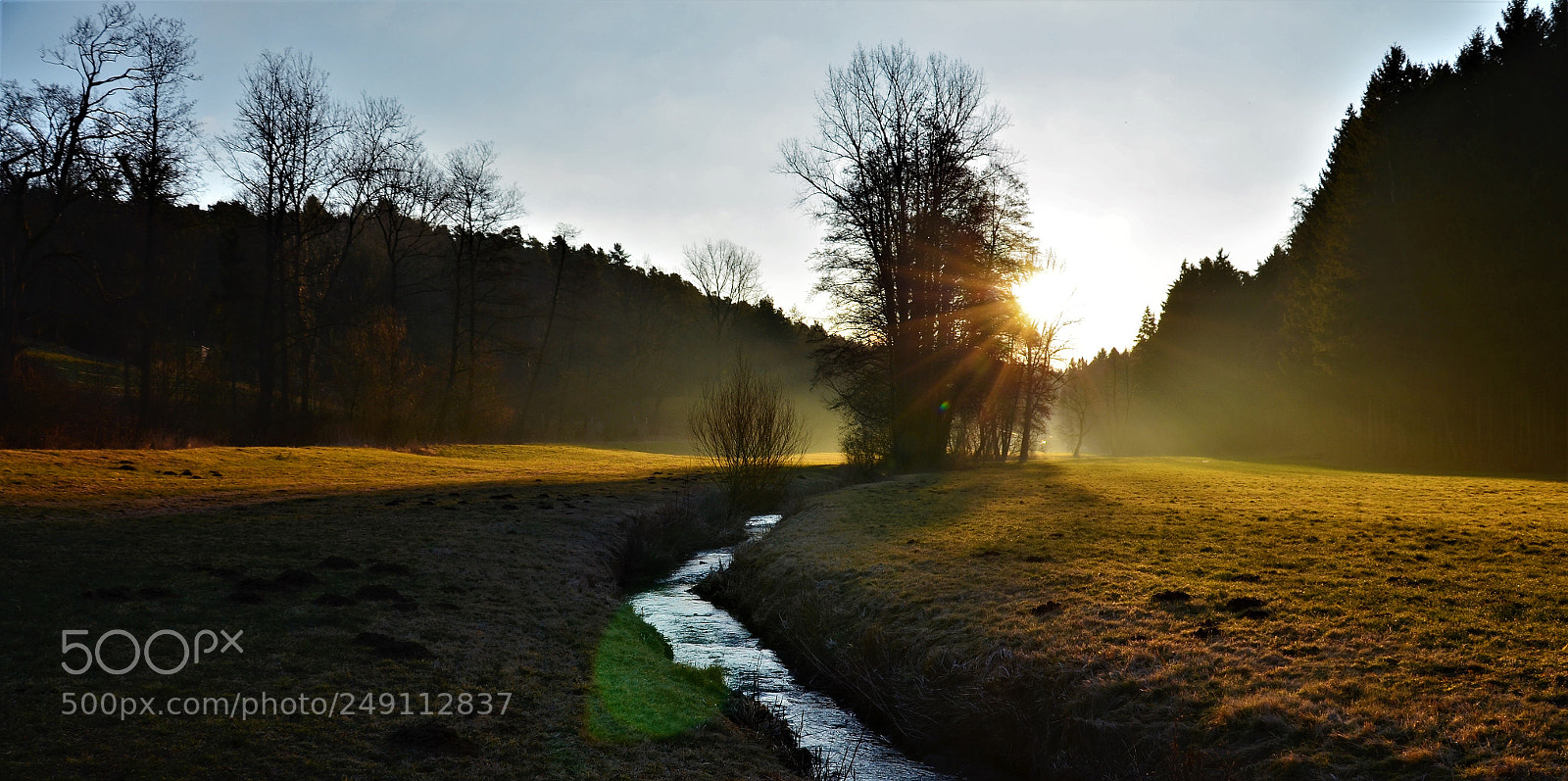 Nikon D5100 sample photo. Sunrise sonnenaufgang g n photography