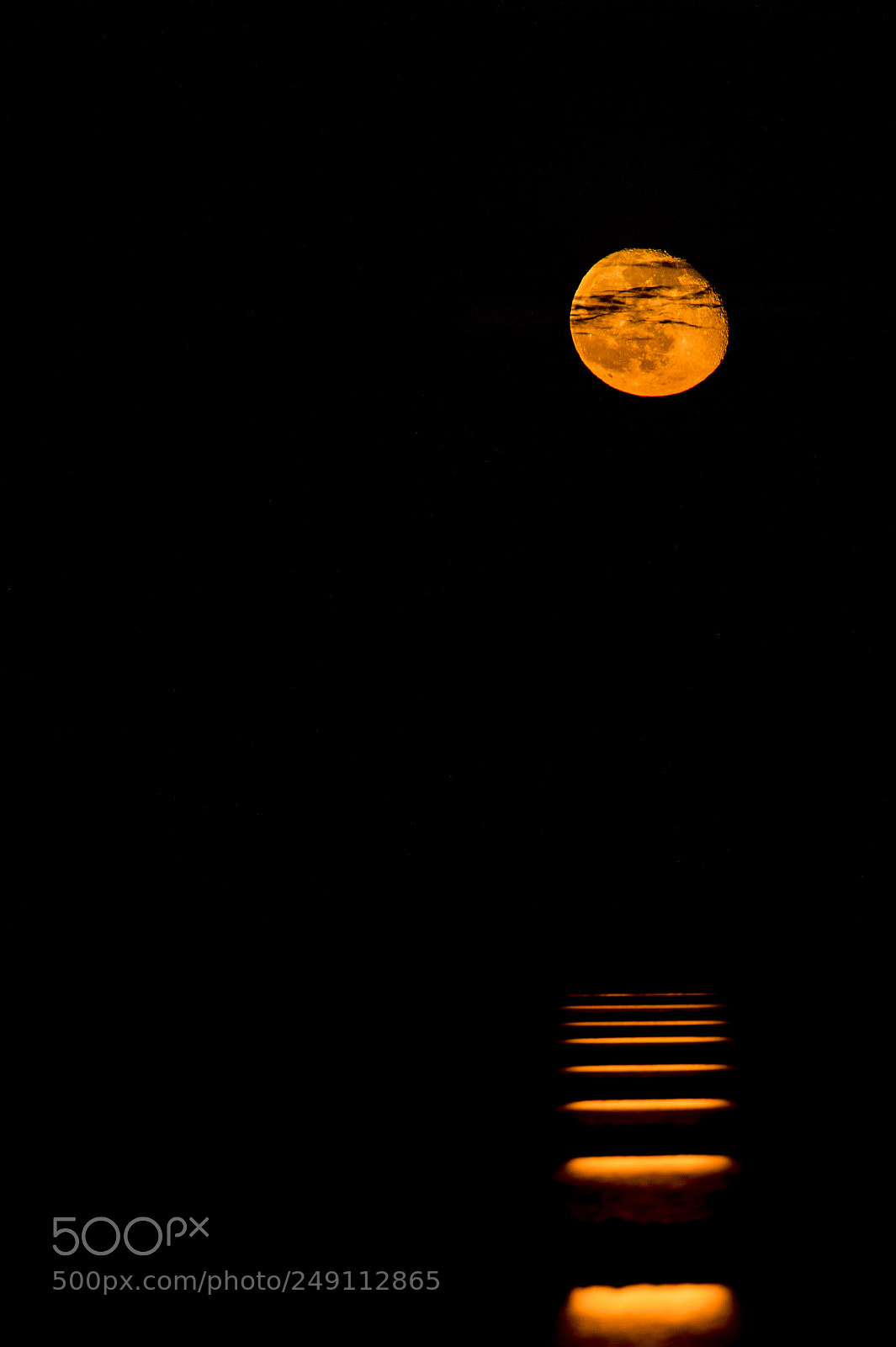 Nikon D4 sample photo. Vertical image of orange photography