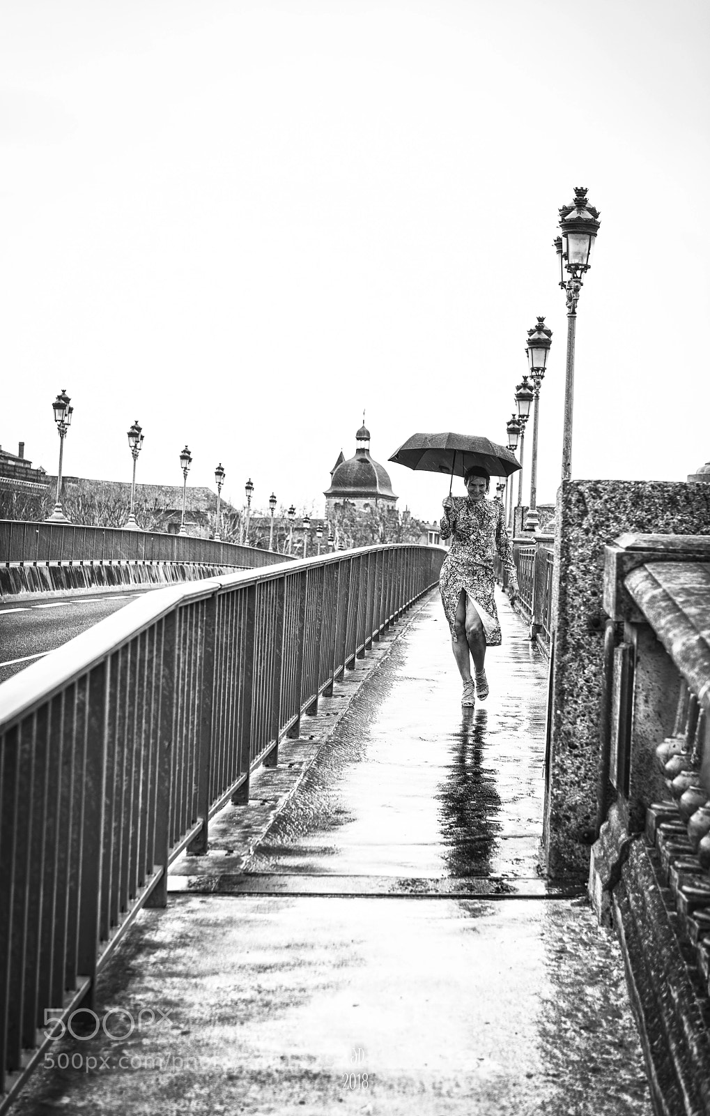 Nikon D800 sample photo. Alph e sur le photography