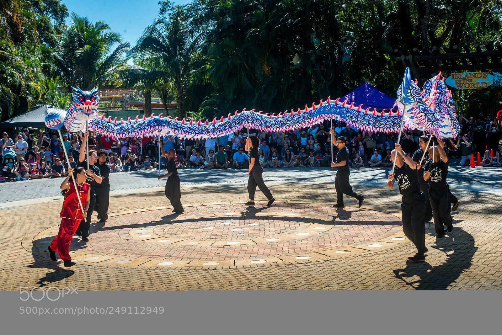 Nikon D800 sample photo. Chinese festival at the photography