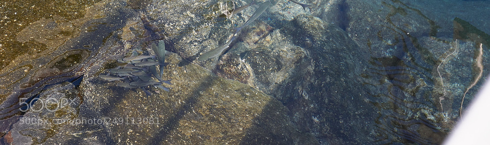 Pentax K-3 sample photo. Not an aquarium photography