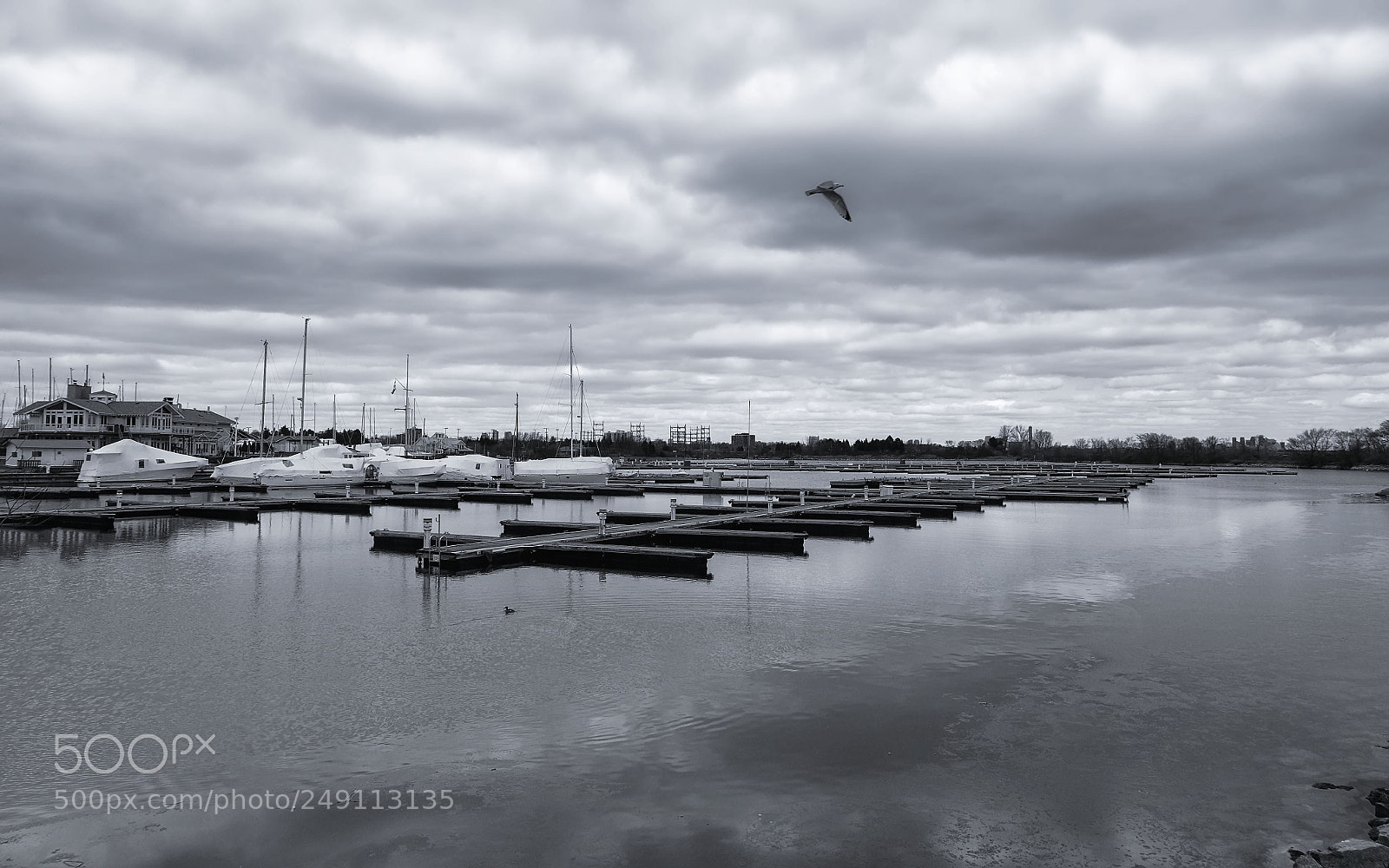Fujifilm X-E2 sample photo. Lakeview park {oily} photography