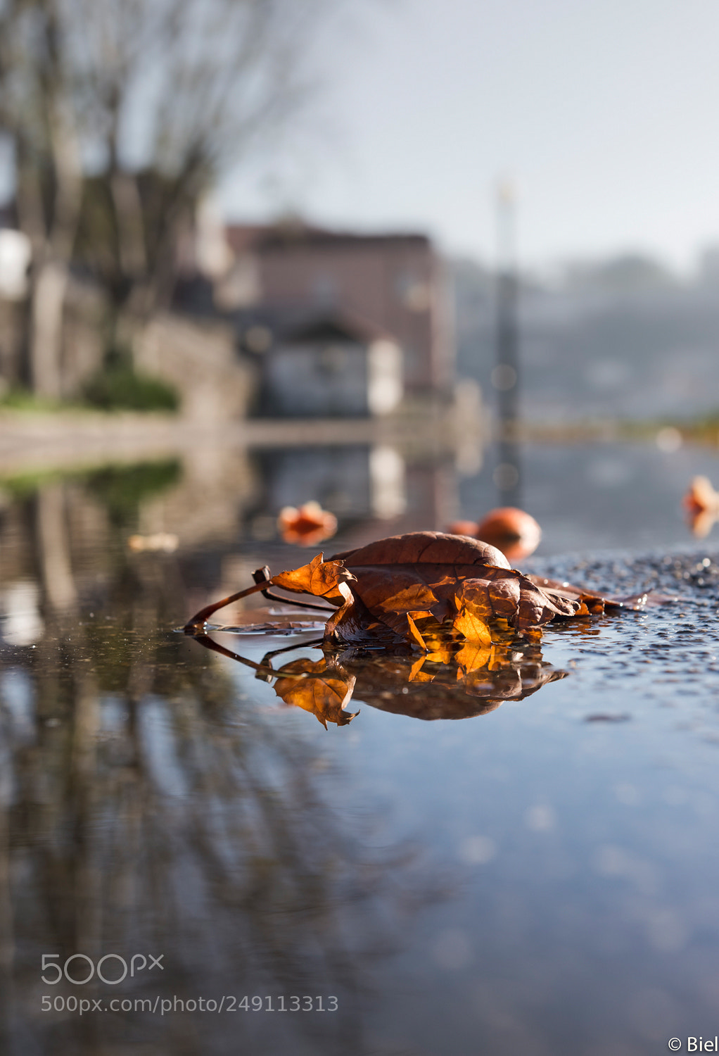 Nikon D610 sample photo. Reflex ii photography