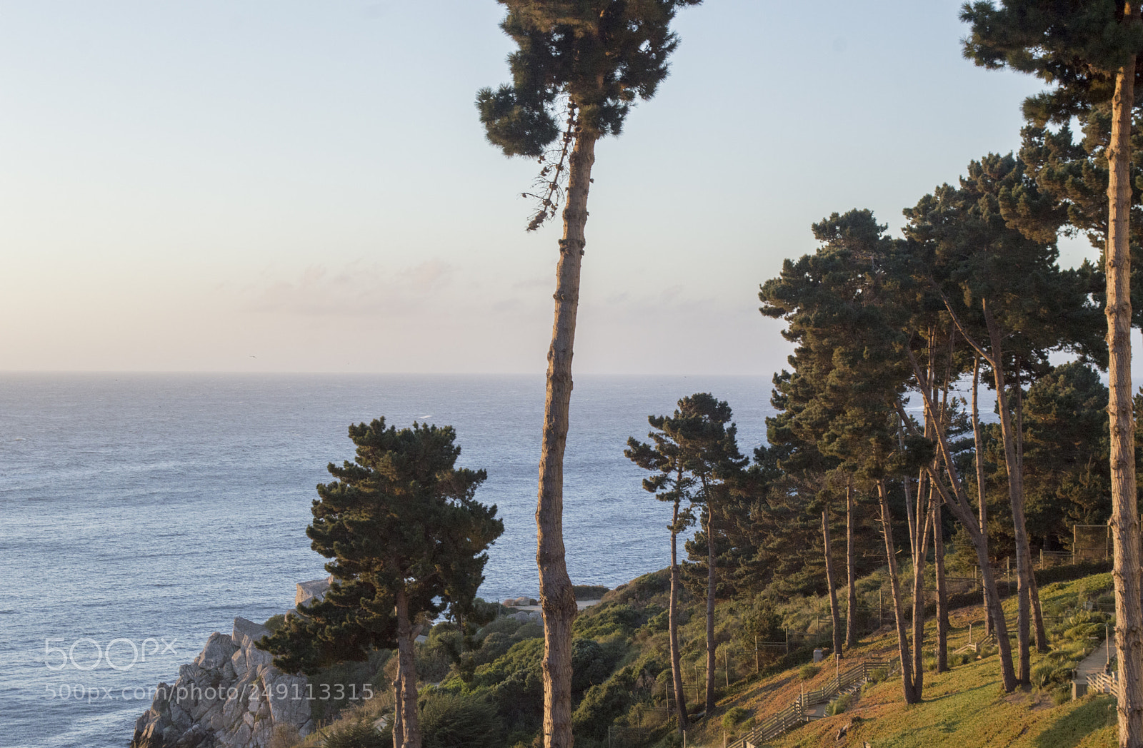 Nikon D3200 sample photo. Canelillo photography