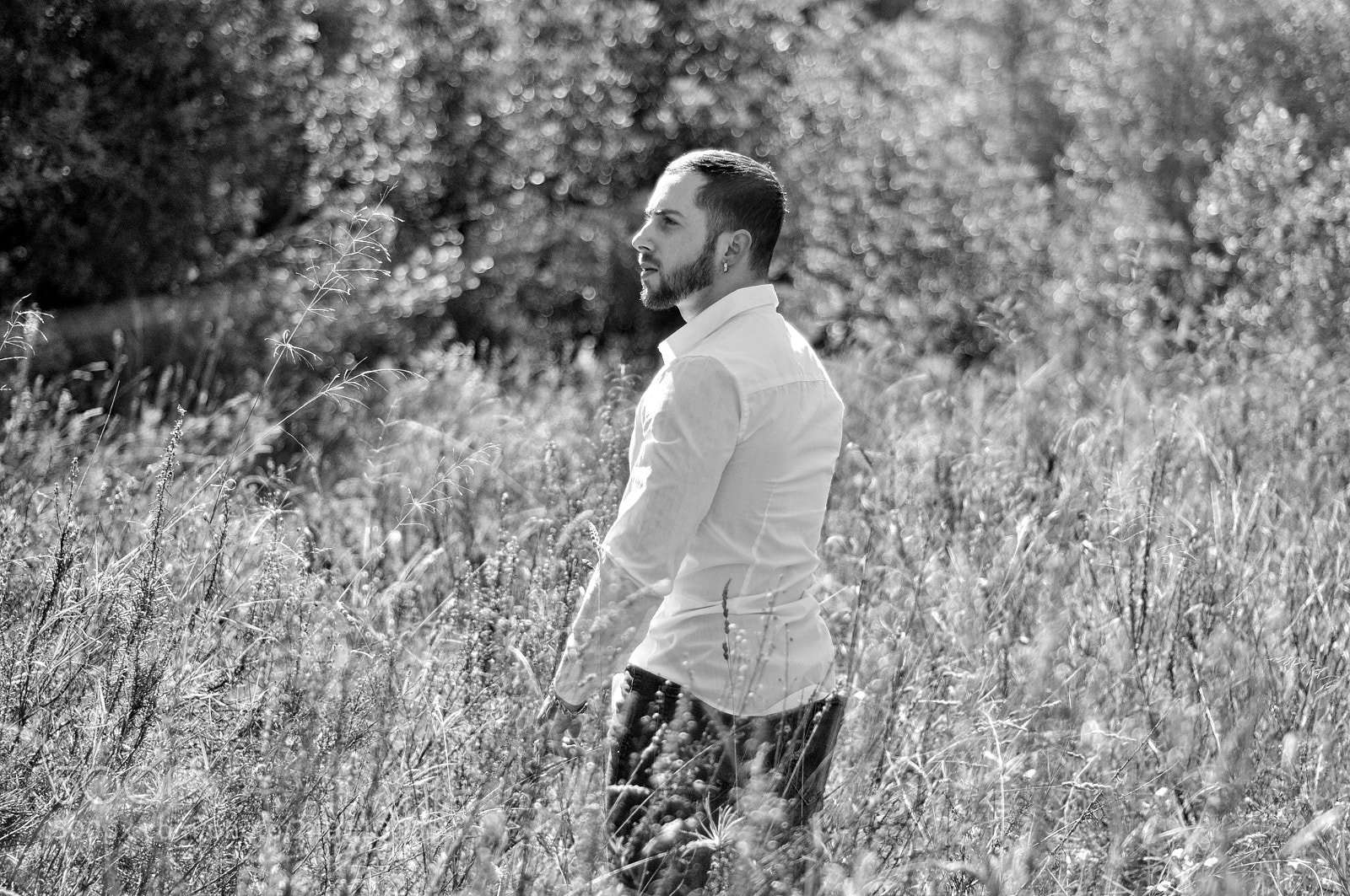 Nikon D90 sample photo. Staring... photography