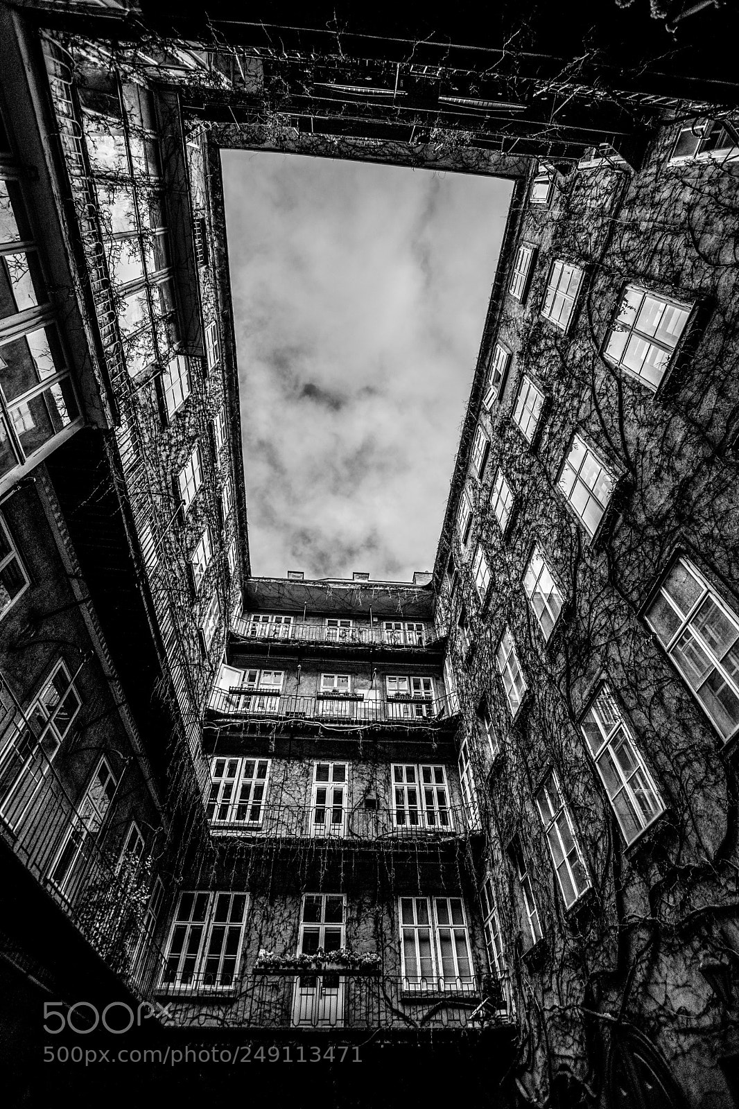 Nikon D5300 sample photo. Backyard somewhere in vienna photography
