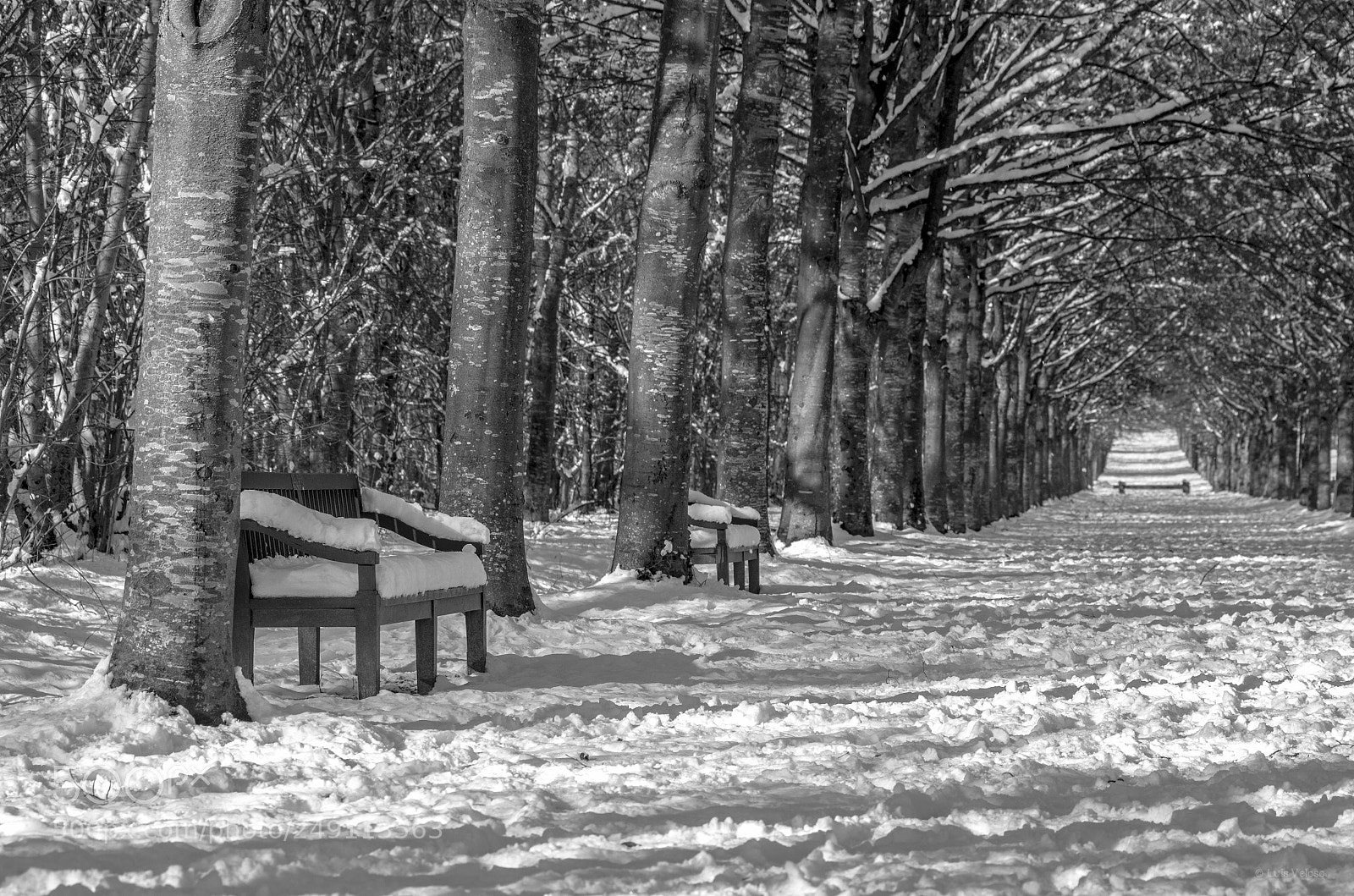 Pentax K-30 sample photo. Snow bench photography