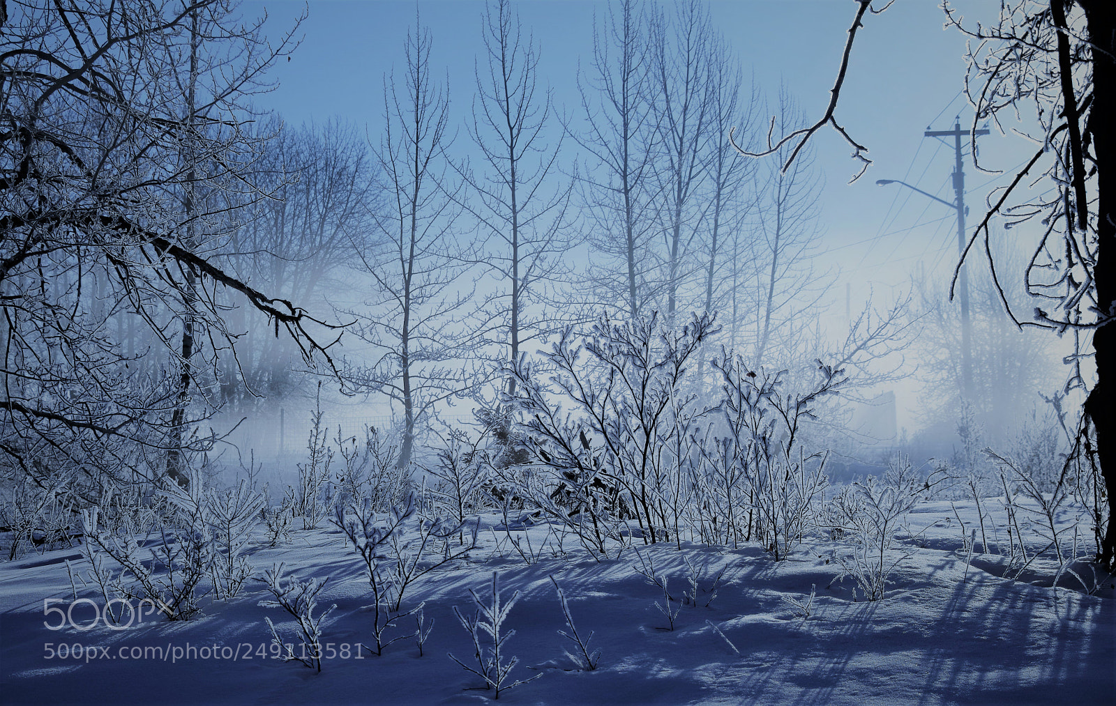Canon EOS 80D sample photo. Frosty sunday morning 03-011-2018 photography