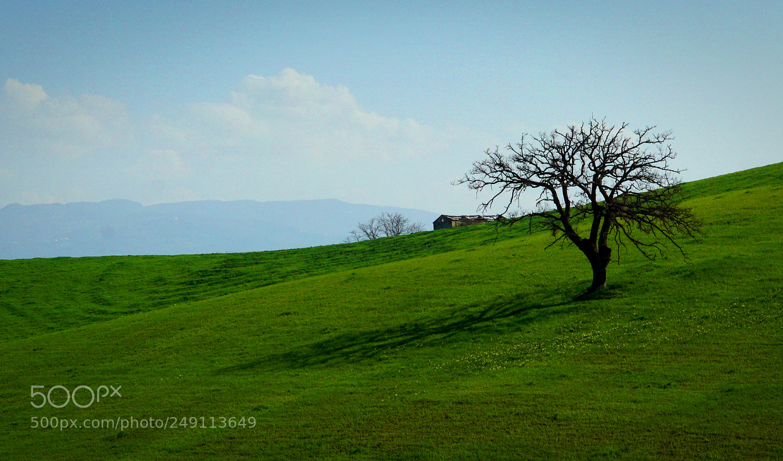 Sony a5100 sample photo. Primavera photography