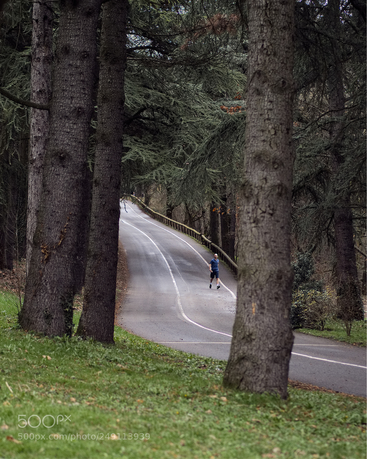 Panasonic Lumix DC-GH5 sample photo. La course photography