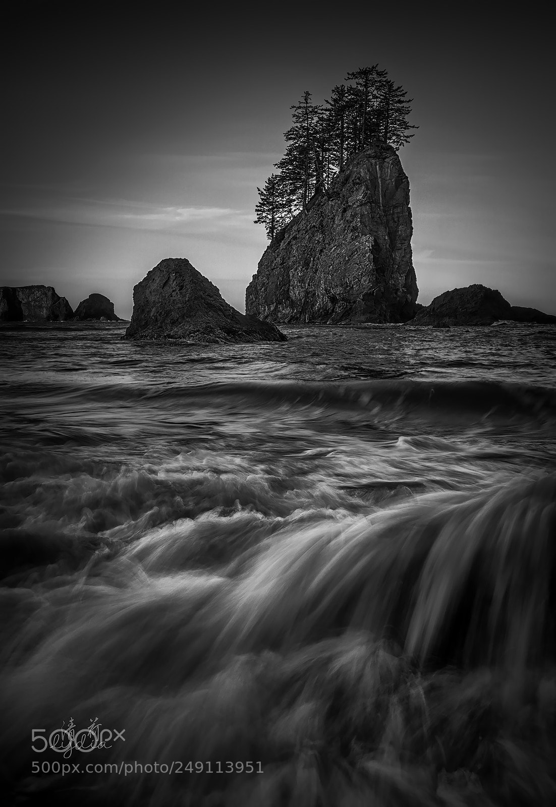 Sony a9 sample photo. Roar photography