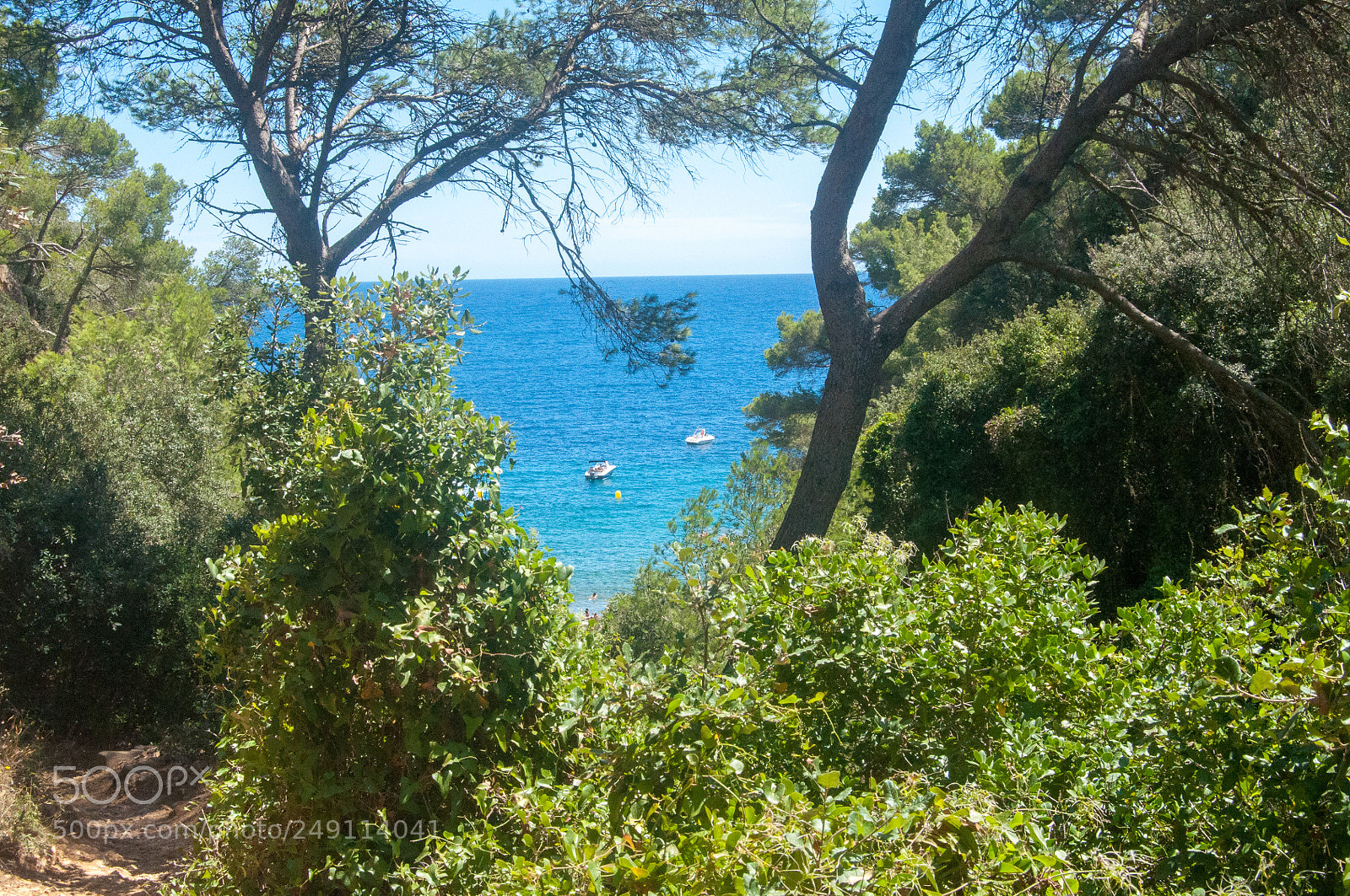 Nikon D5000 sample photo. Small paradise photography