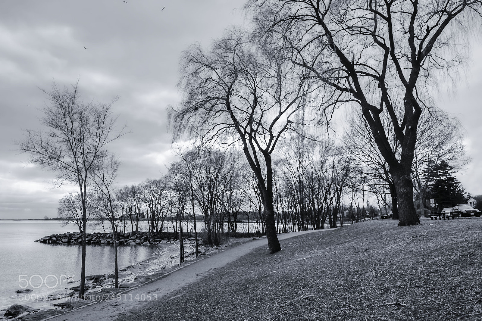Fujifilm X-E2 sample photo. Lakeview park photography
