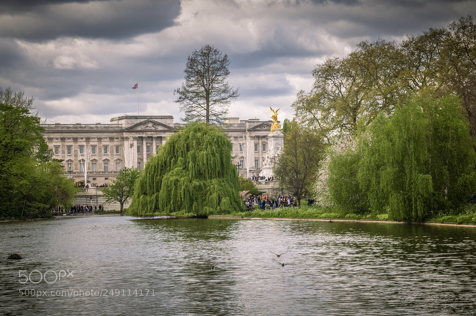 Nikon D90 sample photo. Buckingham photography