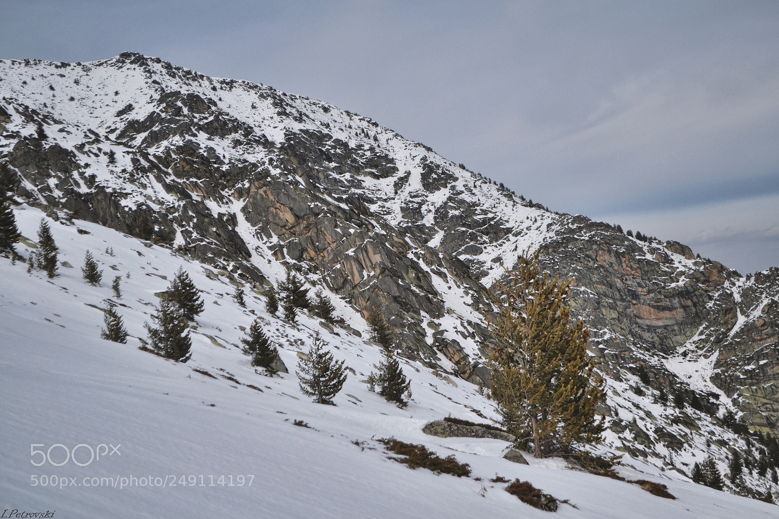Nikon D3100 sample photo. Rocky mountains winter time photography