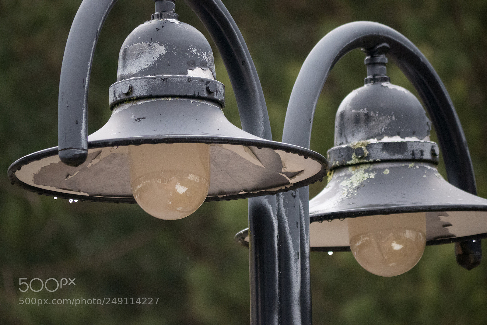 Panasonic DMC-G70 sample photo. Lamp photography