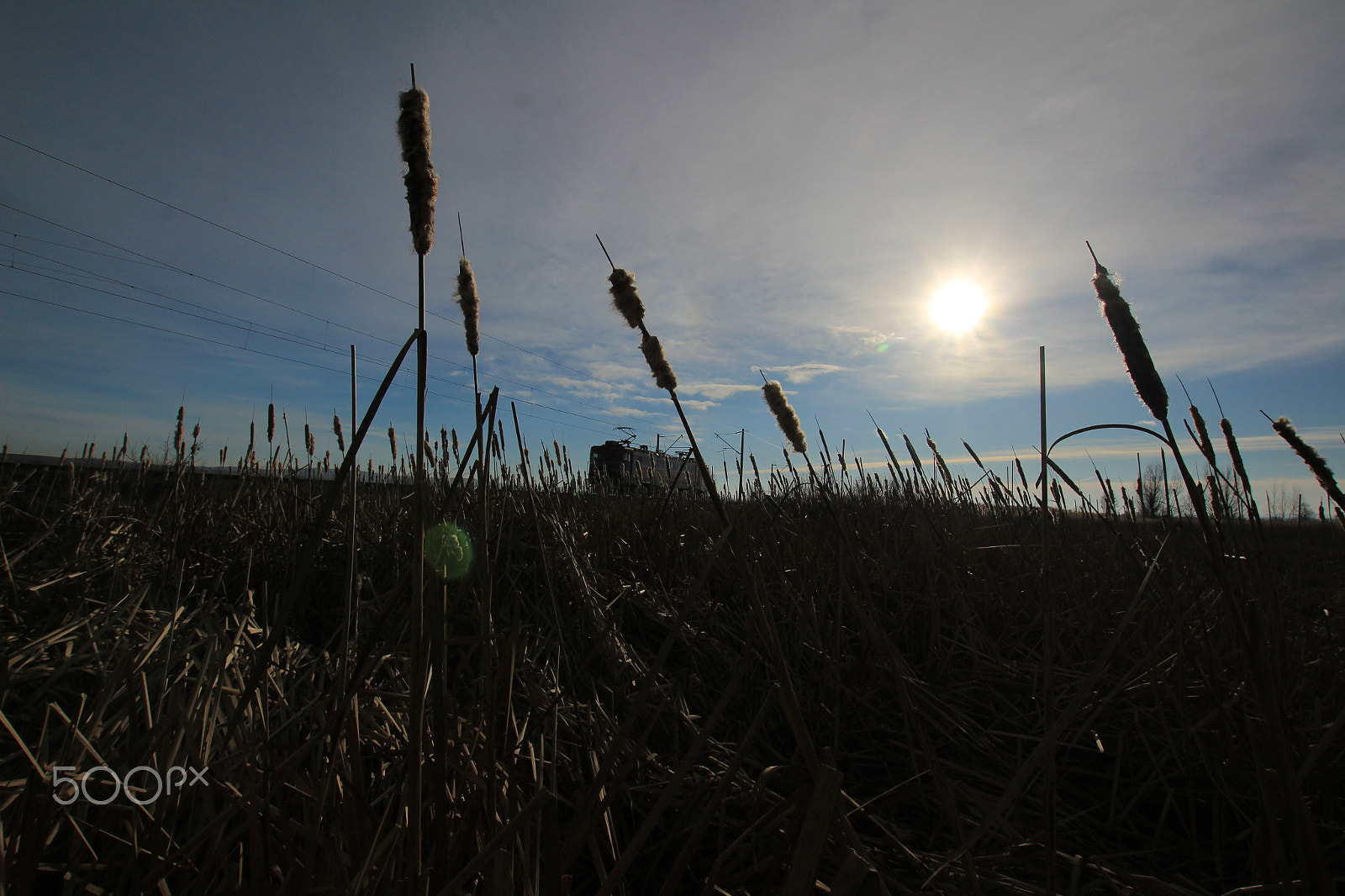 Sigma 10-20mm F3.5 EX DC HSM sample photo. Drought photography