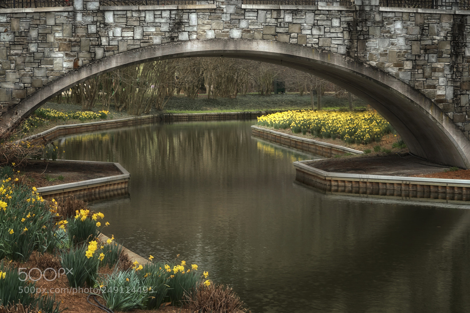 Sony a7R III sample photo. Norfolk botanical gardens photography