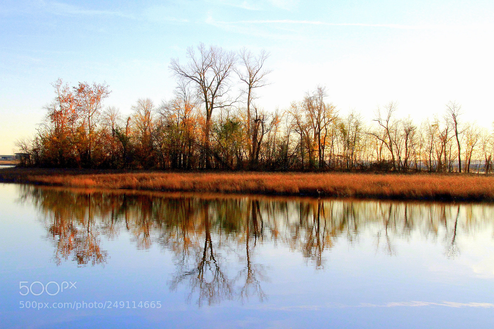 Canon EOS 7D sample photo. Untitled photography