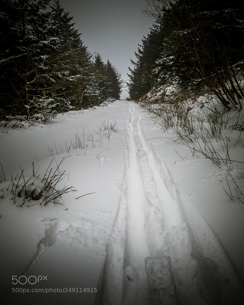 Panasonic Lumix DMC-FZ1000 sample photo. Someone's been skiing. photography