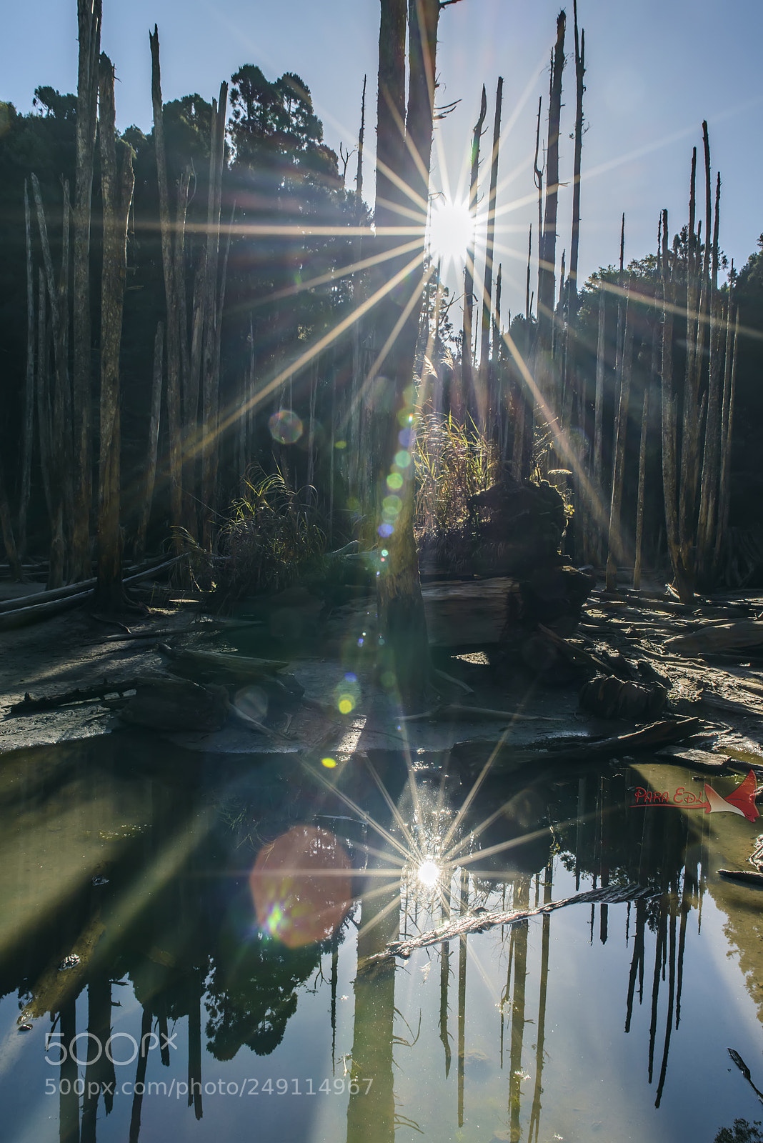 Nikon D800E sample photo. Nan-tou photography