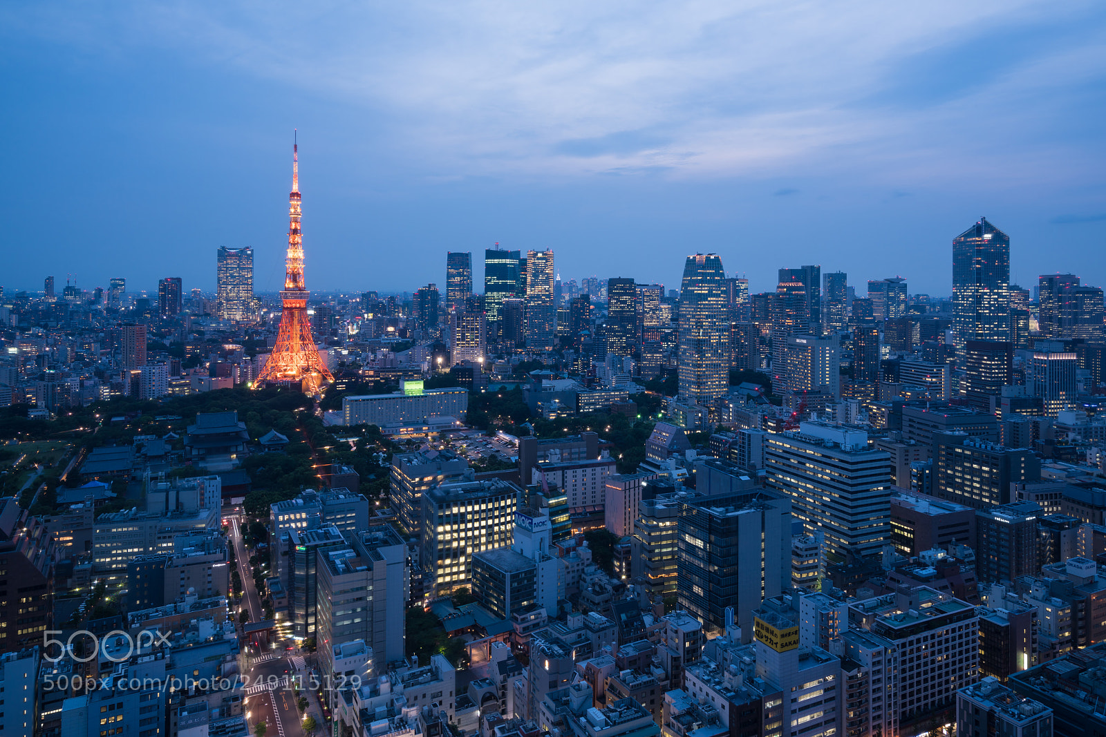 Sony a7R II sample photo. The tokyo tower photography