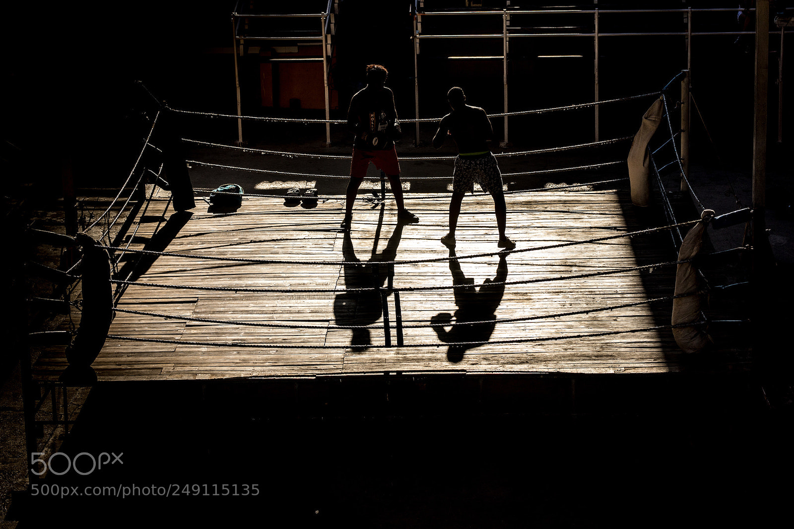 Canon EOS 5D Mark IV sample photo. Shadow fight photography