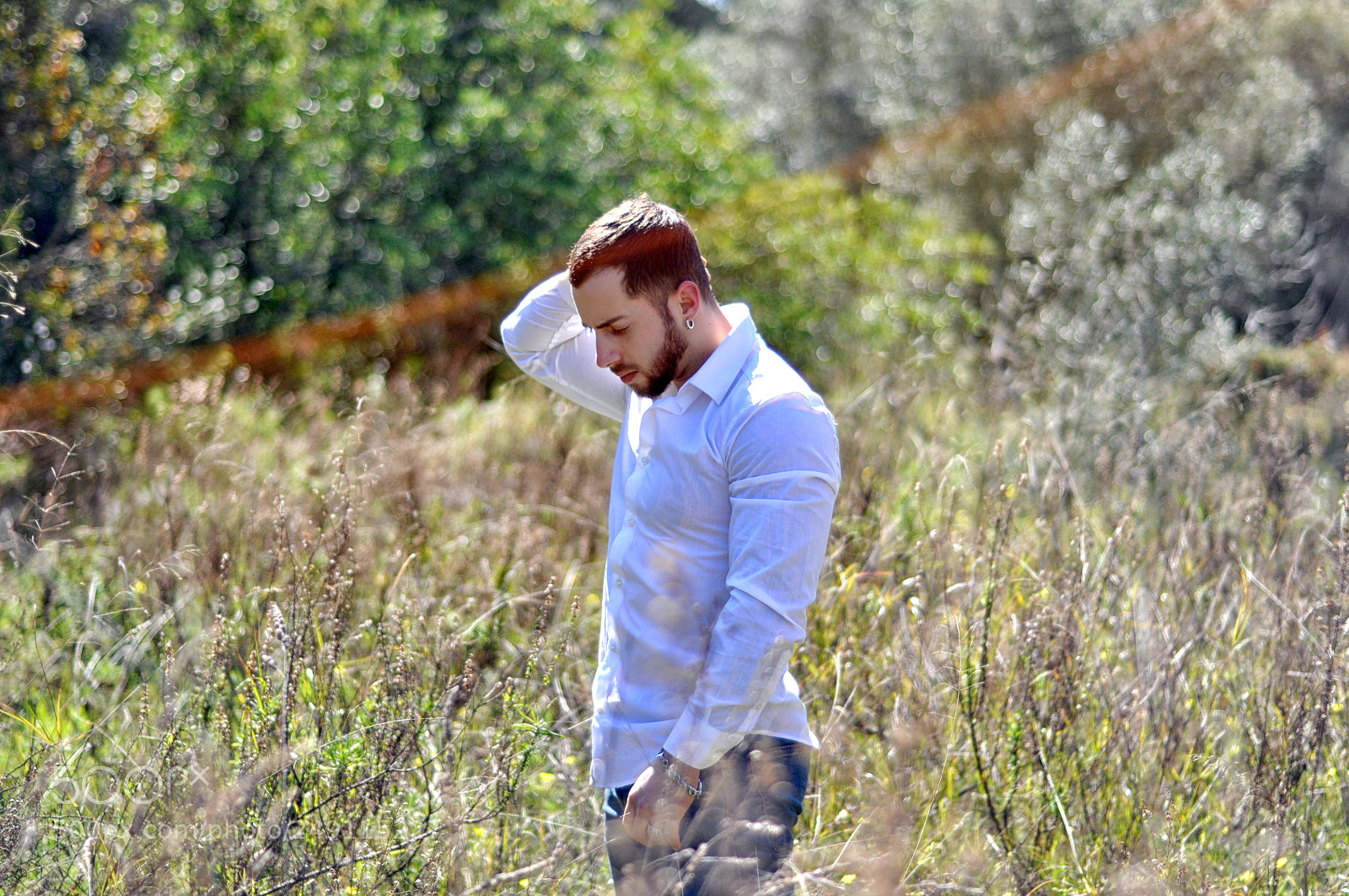 Nikon D90 sample photo. Giving up photography