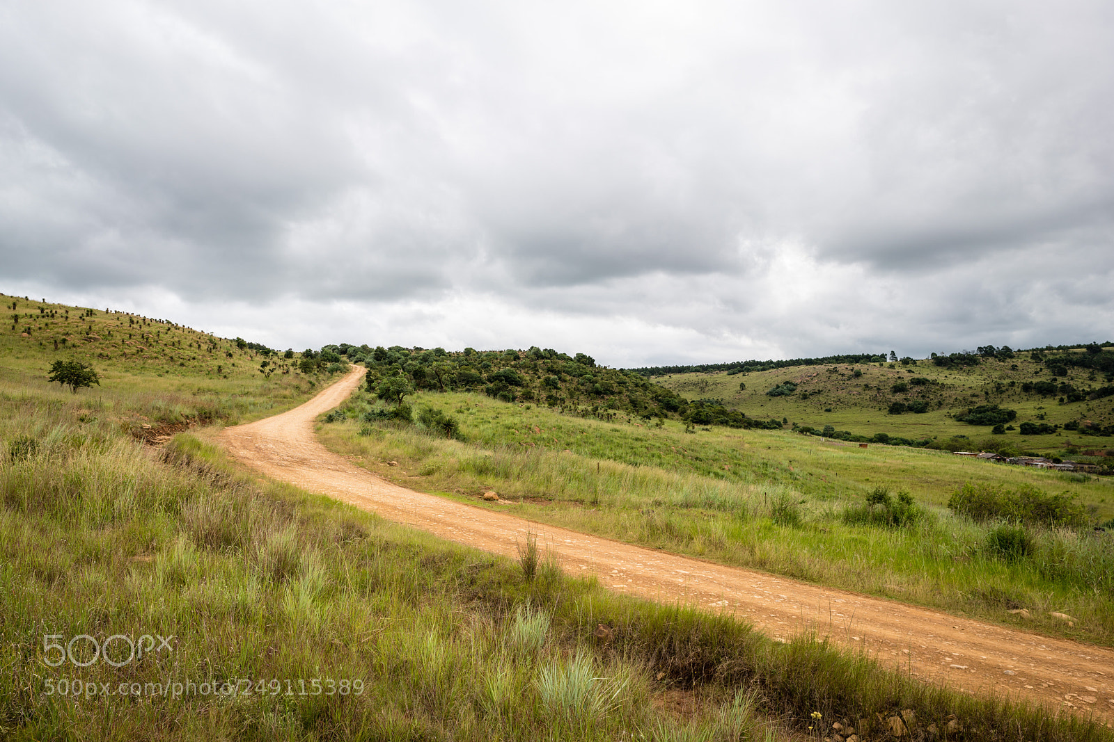 Sony a7R III sample photo. Country road photography
