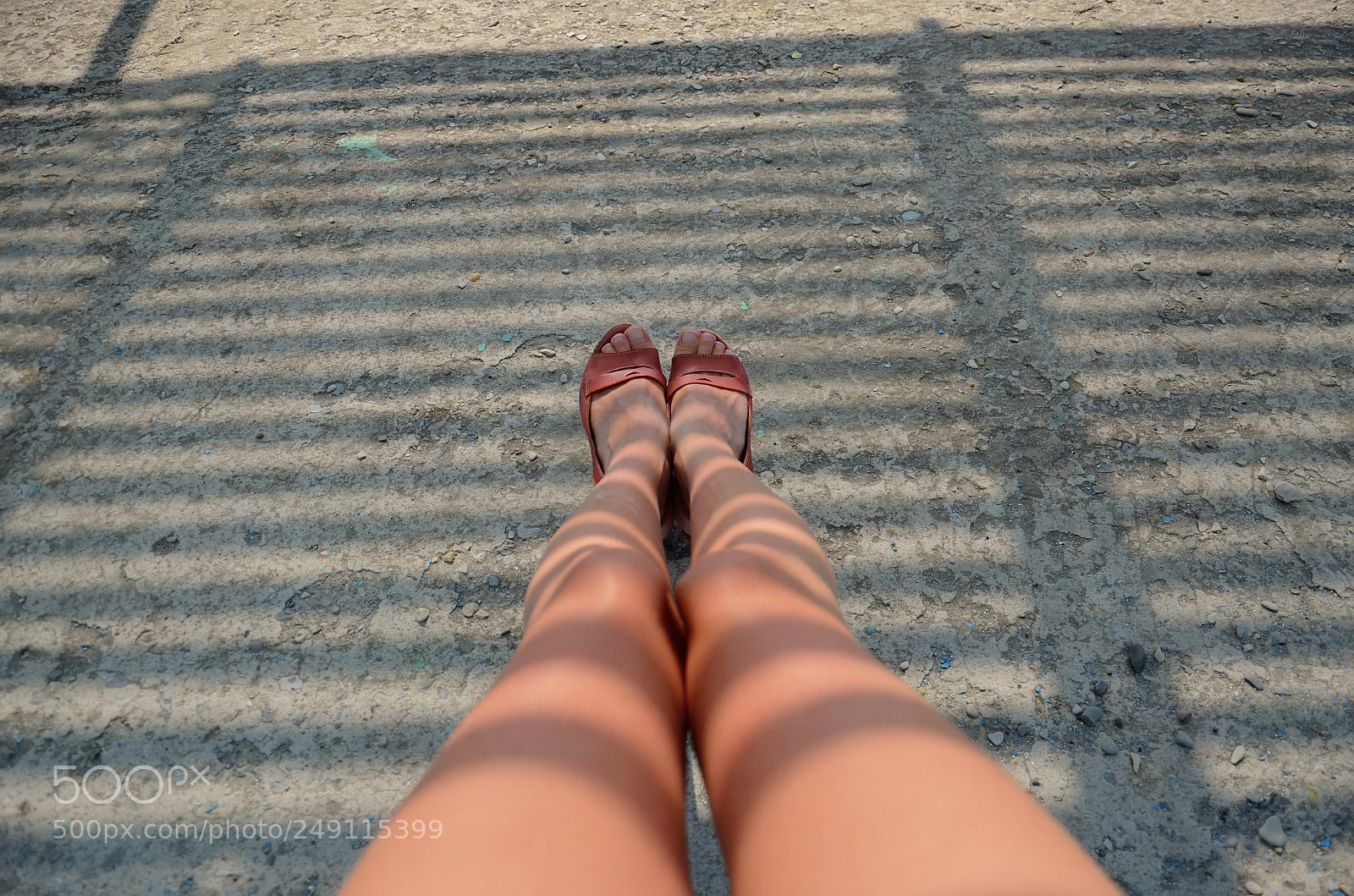 Nikon D7000 sample photo. Вот это я понимаю - полосатая жизнь! photography