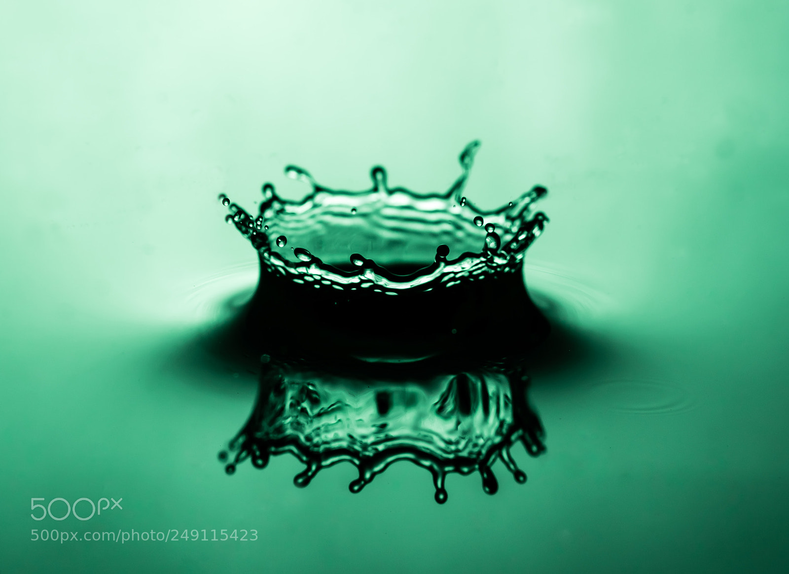 Sony a7R III sample photo. Hypnotizing green photography