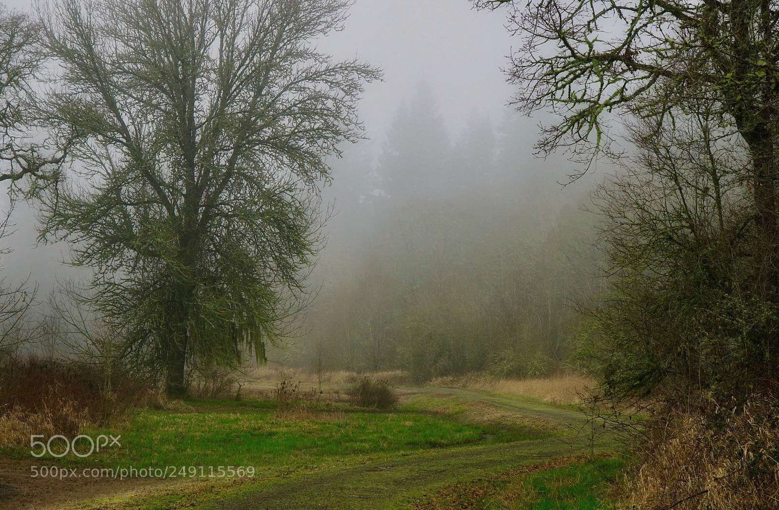 Sony a6000 sample photo. Country road photography