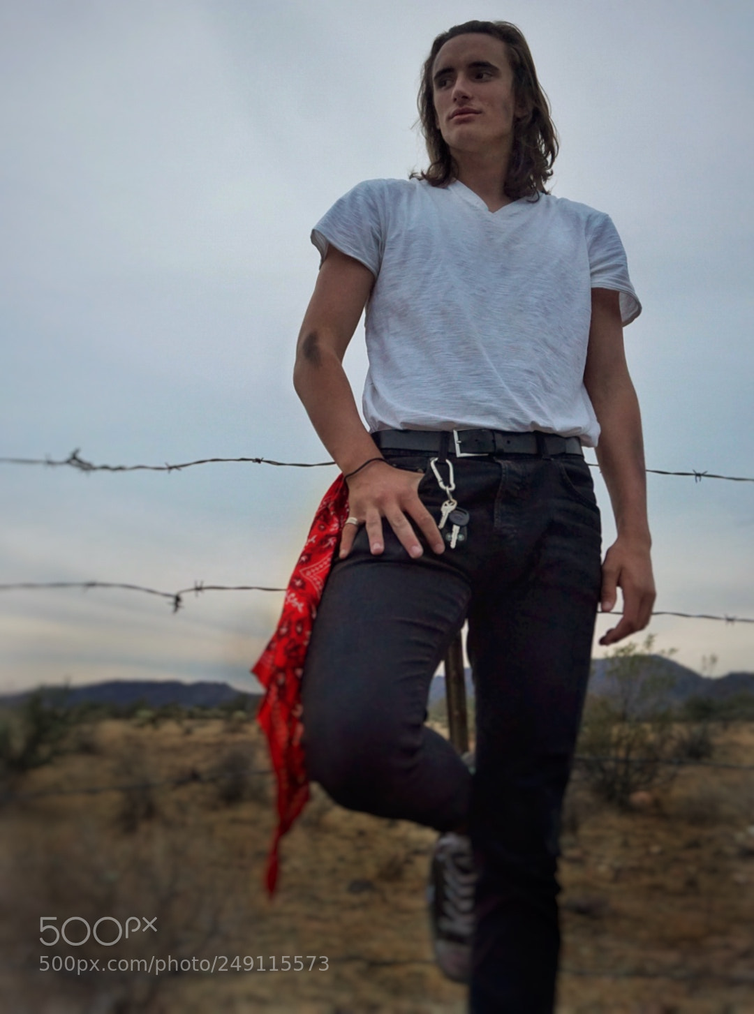 Sony a6000 sample photo. Fence-sitting photography